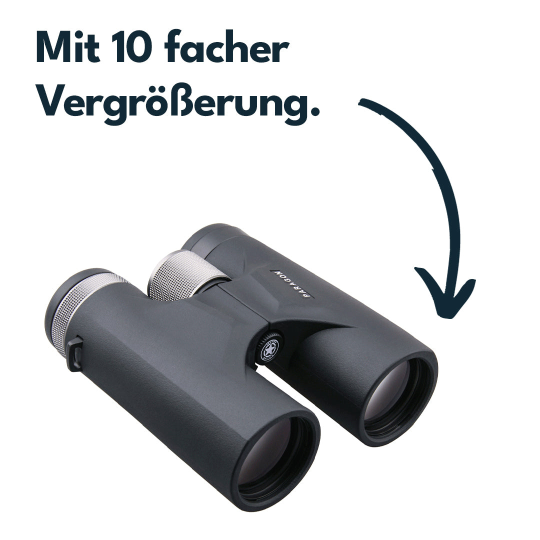 Vector Optics SCBO-04 Paragon 10x42