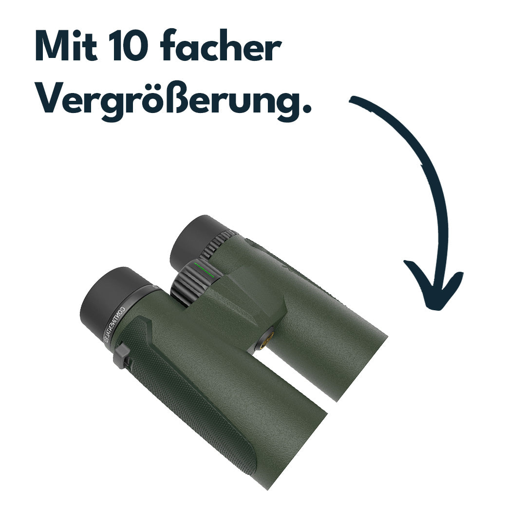 Vector Optics SCBO-15 Continental 10x42 OD binoculars